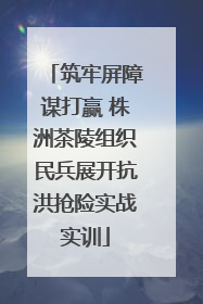筑牢屏障谋打赢 株洲茶陵组织民兵展开抗洪抢险实战实训