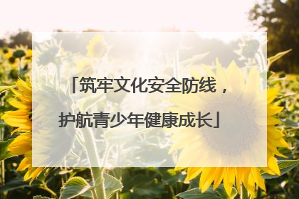 筑牢文化安全防线，护航青少年健康成长