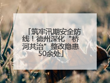 筑牢汛期安全防线！德州深化“桥河共治”整改隐患50余处