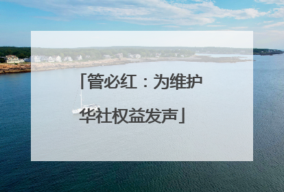 管必红：为维护华社权益发声