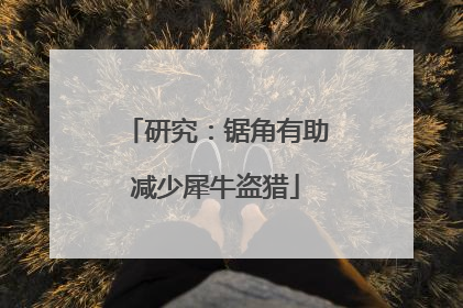 研究：锯角有助减少犀牛盗猎