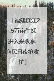 福建连江2.5万亩生蚝进入采收季 渔民日夜抢收忙