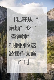 秸秆从“麻烦”变“香饽饽” 打捆回收这波操作太赚了！