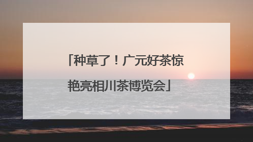 种草了！广元好茶惊艳亮相川茶博览会