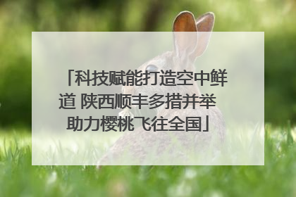 科技赋能打造空中鲜道 陕西顺丰多措并举助力樱桃飞往全国