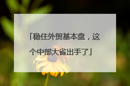 稳住外贸基本盘，这个中部大省出手了