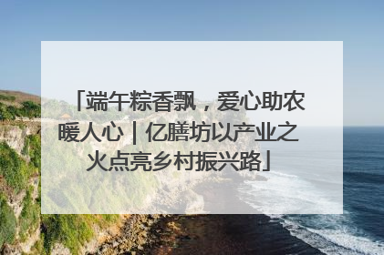 端午粽香飘，爱心助农暖人心｜亿膳坊以产业之火点亮乡村振兴路