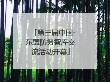第三届中国-东盟防务智库交流活动开幕
