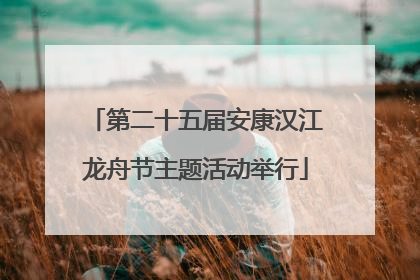第二十五届安康汉江龙舟节主题活动举行