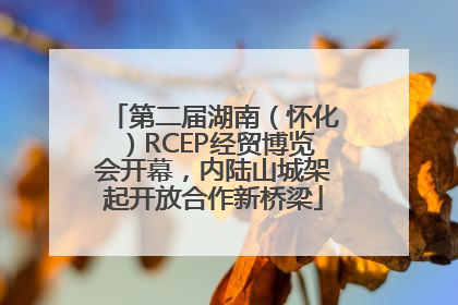第二届湖南（怀化）RCEP经贸博览会开幕，内陆山城架起开放合作新桥梁