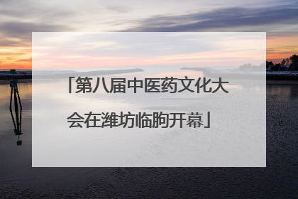 第八届中医药文化大会在潍坊临朐开幕