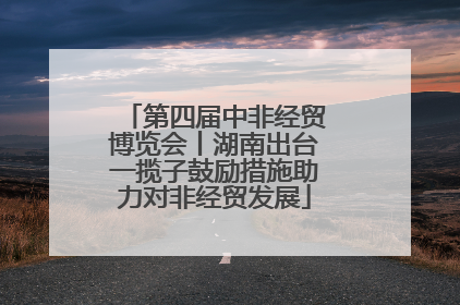第四届中非经贸博览会丨湖南出台一揽子鼓励措施助力对非经贸发展