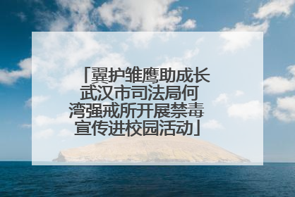 翼护雏鹰助成长 武汉市司法局何湾强戒所开展禁毒宣传进校园活动