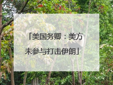 美国务卿：美方未参与打击伊朗