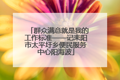 群众满意就是我的工作标准——记耒阳市太平圩乡便民服务中心阳海波