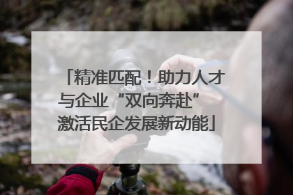 精准匹配！助力人才与企业“双向奔赴” 激活民企发展新动能