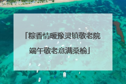 粽香情暖豫灵镇敬老院 端午敬老意满桑榆