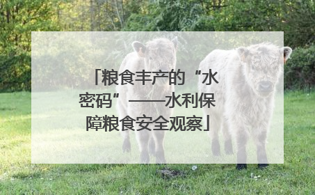 粮食丰产的“水密码”——水利保障粮食安全观察