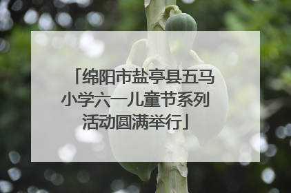 绵阳市盐亭县五马小学六一儿童节系列活动圆满举行