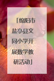 绵阳市盐亭县文同小学开展数学教研活动