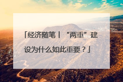 经济随笔丨“两重”建设为什么如此重要？