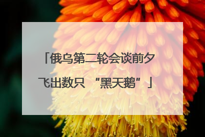 俄乌第二轮会谈前夕 飞出数只 “黑天鹅”