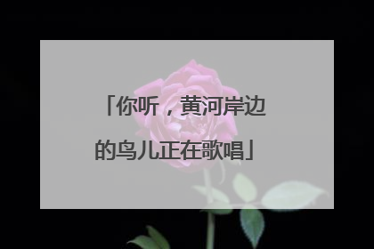 你听，黄河岸边的鸟儿正在歌唱