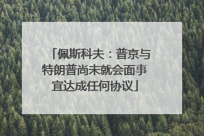 佩斯科夫：普京与特朗普尚未就会面事宜达成任何协议