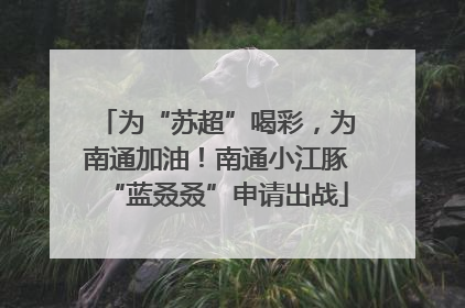 为“苏超”喝彩，为南通加油！南通小江豚“蓝叒叒”申请出战