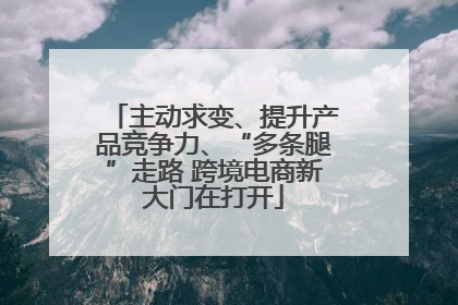 主动求变、提升产品竞争力、“多条腿”走路 跨境电商新大门在打开