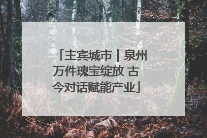 主宾城市｜泉州万件瑰宝绽放 古今对话赋能产业