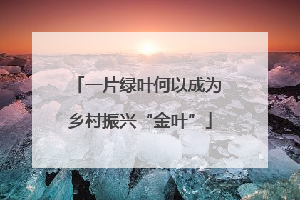 一片绿叶何以成为乡村振兴“金叶”