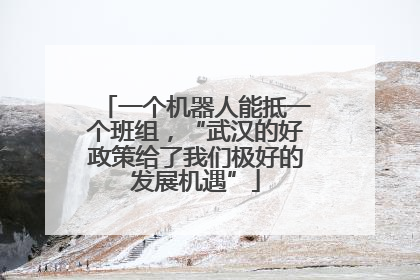 一个机器人能抵一个班组，“武汉的好政策给了我们极好的发展机遇”