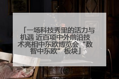 一场科技秀里的活力与机遇 近百项中外前沿技术亮相中东欧博览会“数智中东欧”板块