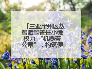 三亚崖州区数智赋能管住小微权力 “机器管公章”，构筑便民服务新生态