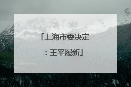 上海市委决定：王平履新
