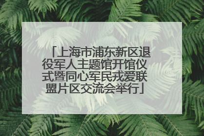 上海市浦东新区退役军人主题馆开馆仪式暨同心军民戎爱联盟片区交流会举行