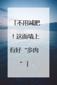 不用减肥！这面墙上有好“多肉”