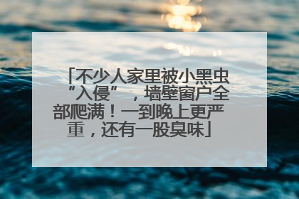 不少人家里被小黑虫“入侵”，墙壁窗户全部爬满！一到晚上更严重，还有一股臭味