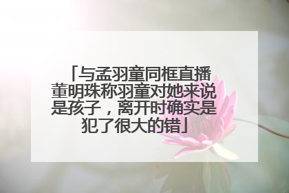 与孟羽童同框直播 董明珠称羽童对她来说是孩子，离开时确实是犯了很大的错