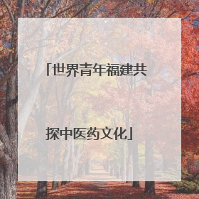 世界青年福建共探中医药文化