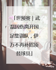 世预赛｜武磊因伤离开国足集训队，伊万不再补招顶替球员
