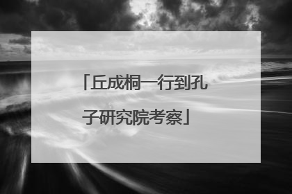 丘成桐一行到孔子研究院考察