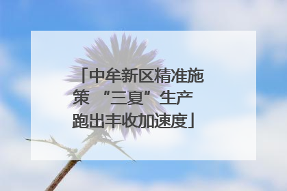 中牟新区精准施策 “三夏”生产跑出丰收加速度