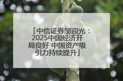 中信证券邹迎光：2025中国经济开局良好 中国资产吸引力持续提升