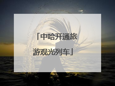 中哈开通旅游观光列车