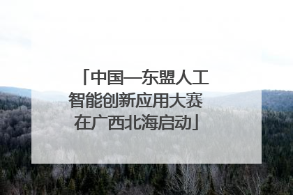 中国—东盟人工智能创新应用大赛在广西北海启动