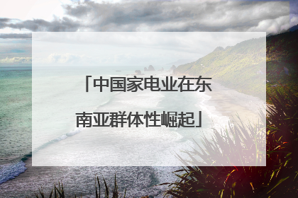 中国家电业在东南亚群体性崛起