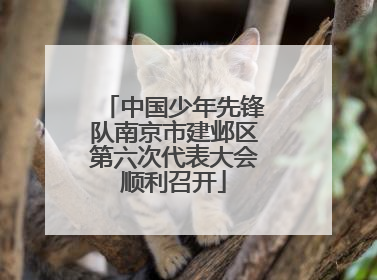 中国少年先锋队南京市建邺区第六次代表大会顺利召开