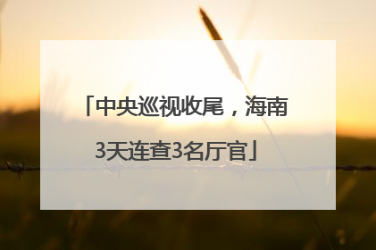 中央巡视收尾，海南3天连查3名厅官